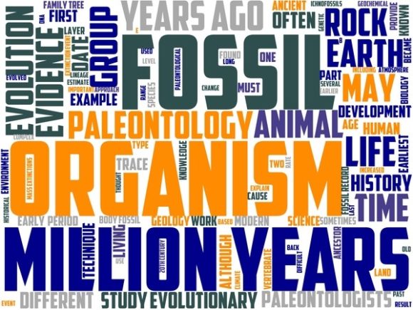 Bring Prehistoric Wonder to Life with Palaeontology Wordart Print