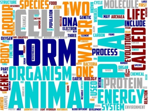 Oecology Wordart Book Cover.jpg