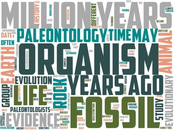 Palaeontologist Wordart Background