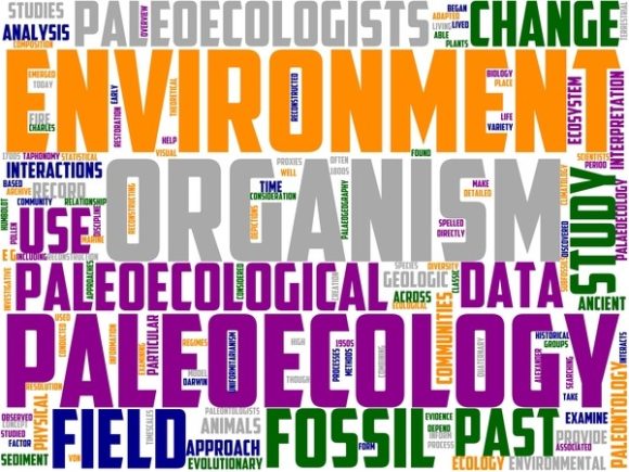 Paleoecology Wordart Crafting