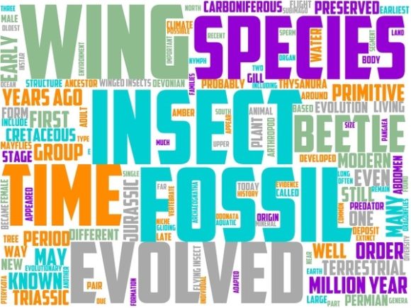 Paleoentomology Wordart Skinny Tumbler