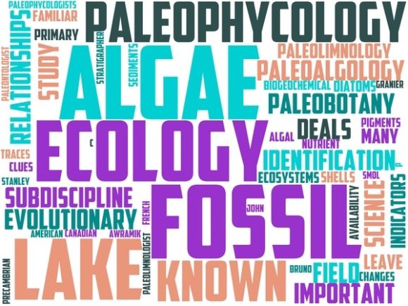 Paleophycology Wordart Skinny Tumbler: Where Scientific Curiosity Meets Everyday Creativity