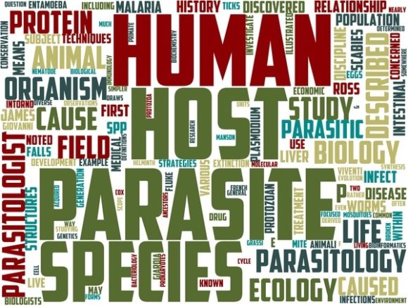 Parasitology Wordart Wallpaper: A Versatile Design Resource for Science-Inspired Creativity