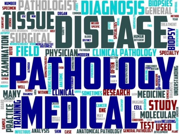 Pathobiology Wordart Sticker: Where Scientific Depth Meets Expressive Design
