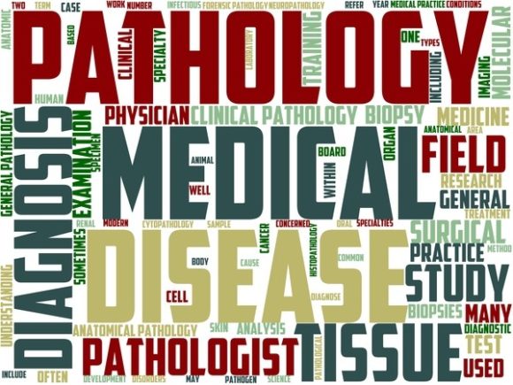 Pathologist Wordart Sticker