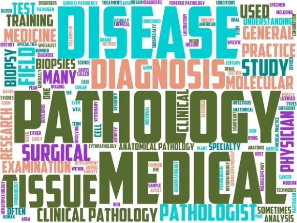 Pathology Wordart Book Cover