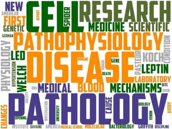 Pathophysiology Wordart Background