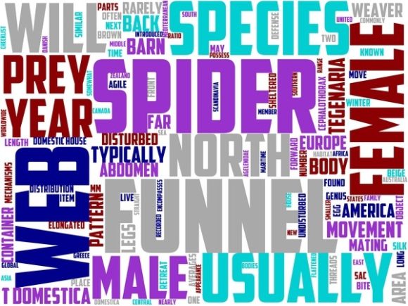 Pattern Weaver Wordart Tumbler