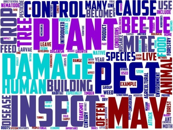 Phytonematology Wordart Tshirt: Where Scientific Literacy Meets Wearable Design