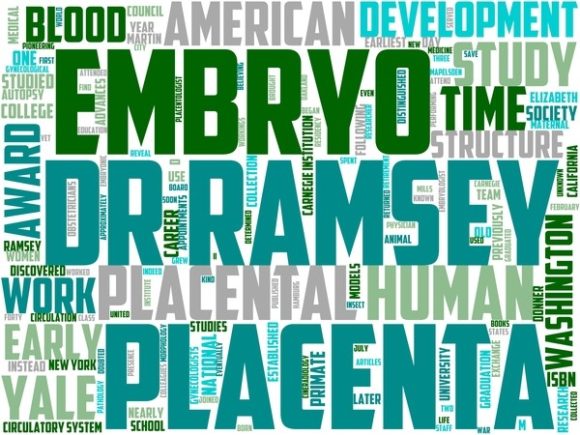 Placentology Wordart Wallpaper